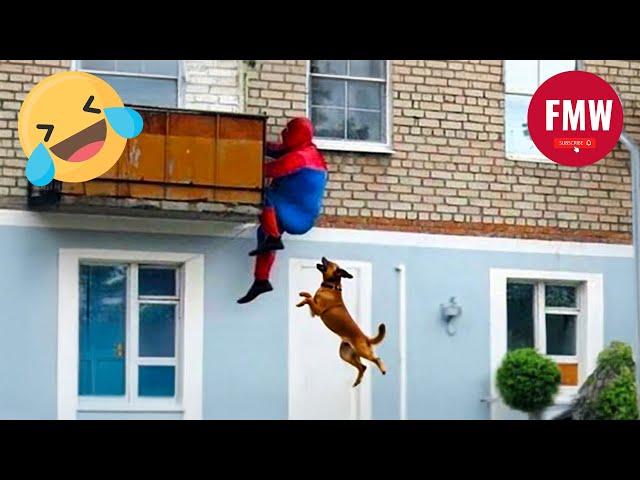 Funny & Hilarious People Life 😆 #488  | TRY NOT TO LAUGH CHALLENGE 😂 | Funny Videos Compilation 2025