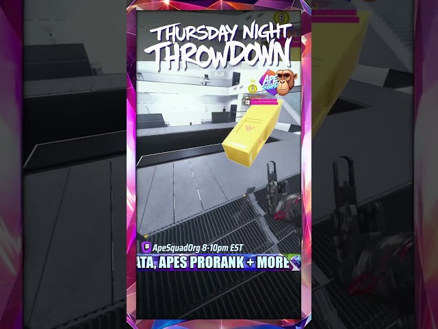 THE FINALS: Sonsoyo and Gremlin telepathy on the tech! #apesquad #apez