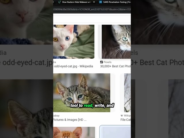 hackers HIDE payloads in METADATA