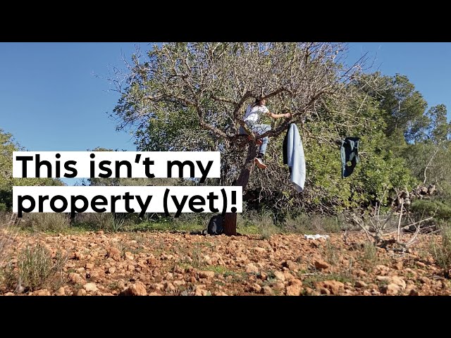 #7 Things I can do before I'm buying this property and why I can't wait.