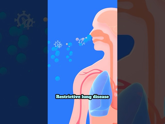 Three types of lung diseases explained: Restrictive, obstructive & vascular #lungs #breathing