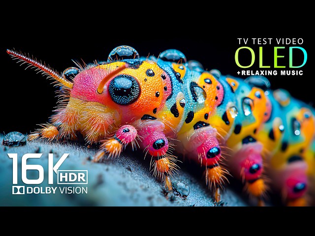 Unstopable 16K HDR 240FPS | Nature Relaxing Music | Dolby Vision 120fps (8K/4K Video TV)