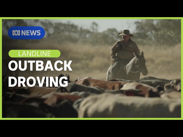 In the saddle: an epic outback adventure for a good cause | Landline | ABC News