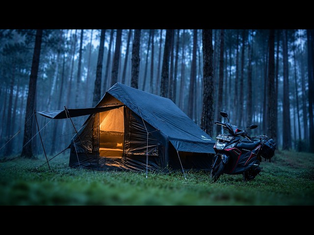 I Took a Nap During Storm ⛈️ Heavy Rain Forest Camping in Bad Weather