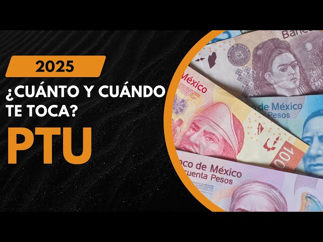 ¿Cómo se calculan mis utilidades? PTU Guía completa