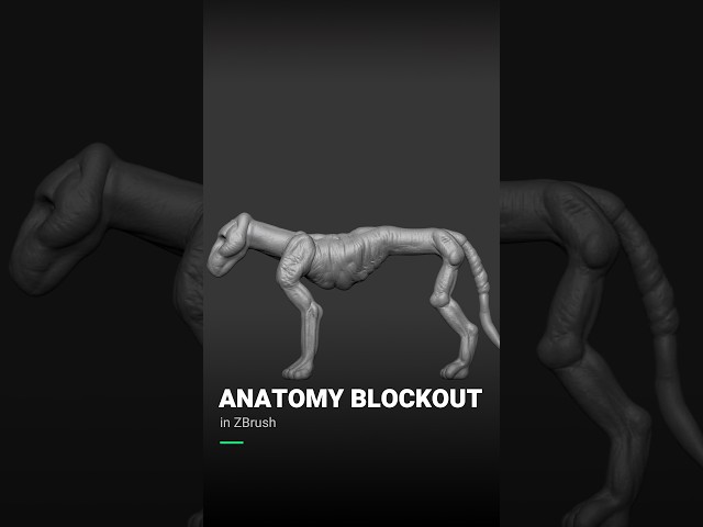 How Do You Block Out Animal Anatomy Before Sculpting Details?