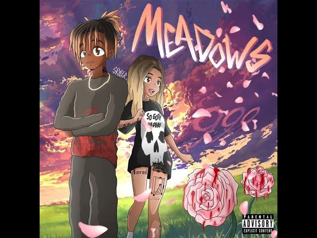 Juice WRLD - Meadows/Rose Pedals (Full Session)