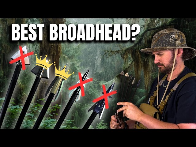 Cheap vs Expensive - Battle of the Broadheads PT.3