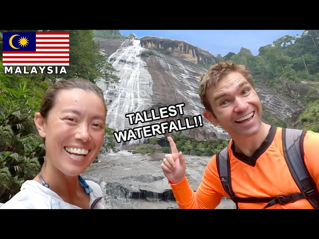 ECO PARADISE in the middle of the Malaysian jungle! | Dabong travel vlog