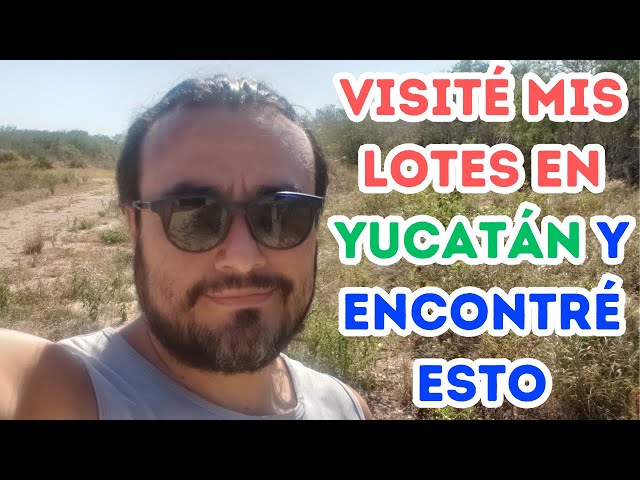 I visited my investment lots in Yucatan and found this 👀