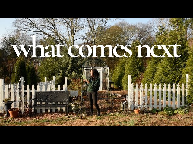 planning the rest of january in the garden