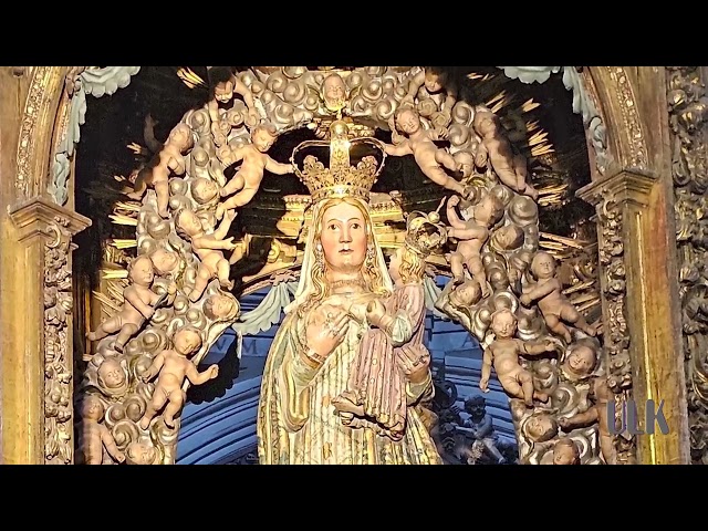 Lugo Cathedral