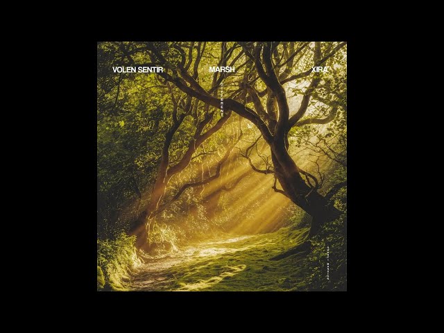 Volen Sentir & Marsh & XIRA - Different