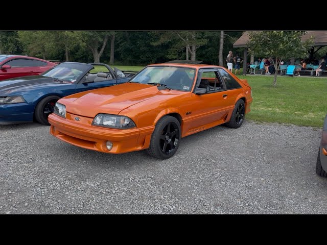 20 Mustangs... and One Hellcat?! 😂 | Car Cruise Walkaround