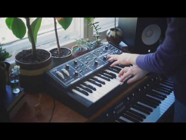 Moog Rogue │ Goodhertz WOW