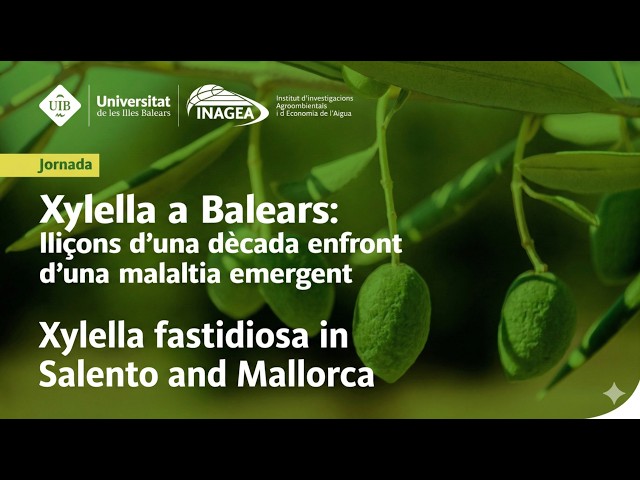 Xylella fastidiosa a Salento i Mallorca (part 4)