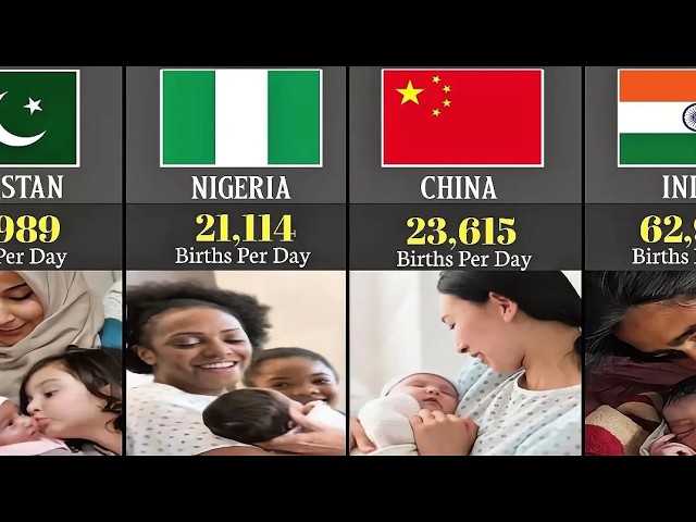 Per Day Births in Every Country: Shocking World Statistics! 🍼