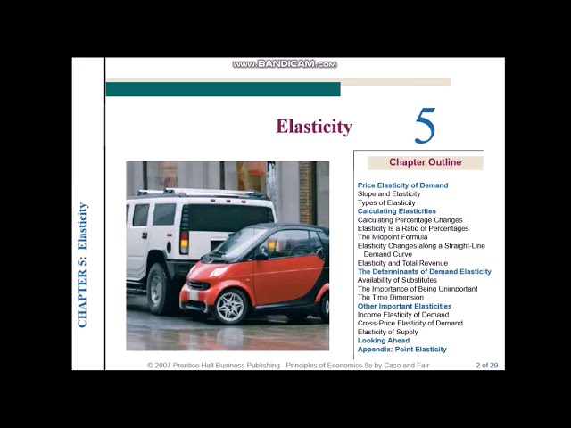 #1 Holiday E-Study (Intro to Microeconomics: Ch. 5 Elasticity) (Kak Riqsal e! 19)