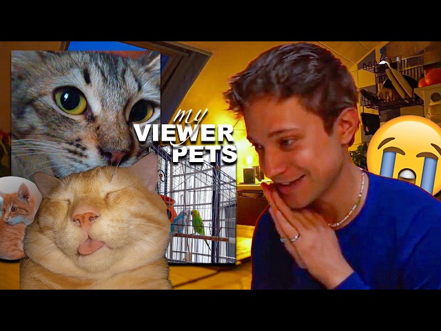 THE CUTEST CAT⁉️ I REACT to the PETS of my VIEWERS | Pascal Zoels Stream Highlights