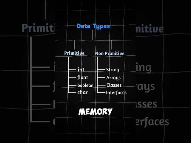 What is data types #java #programming #shorts