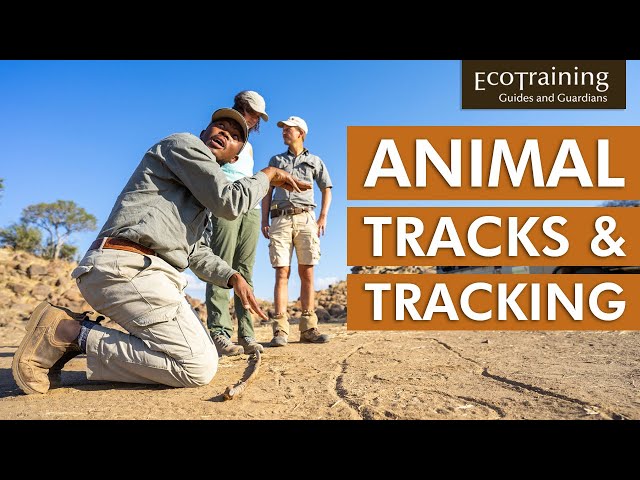 EcoTraining Courses l EcoTracker Course