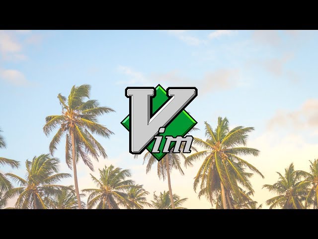 Vim IDE \\ Overly Simplified Layout for Code Editing