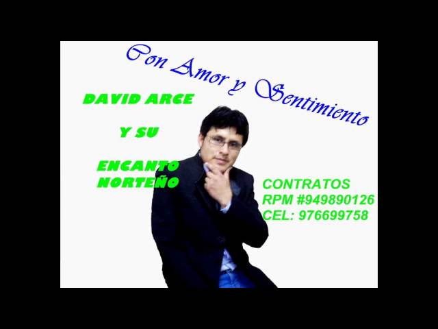 CARIÑITO  DAVID ARCE