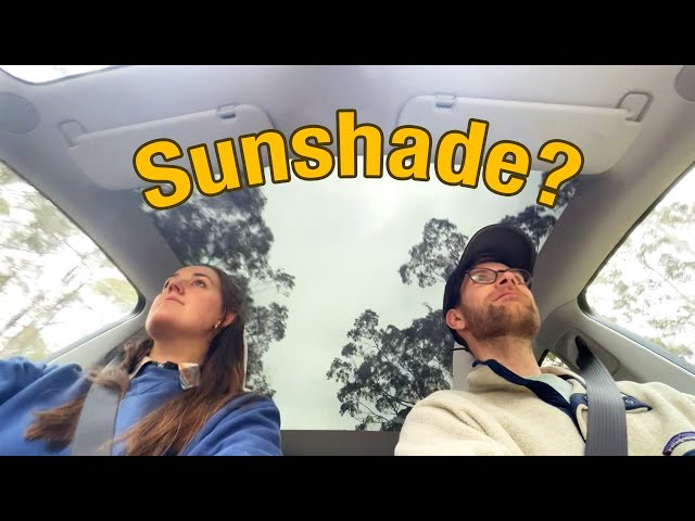 Does your Tesla need a Sunshade?