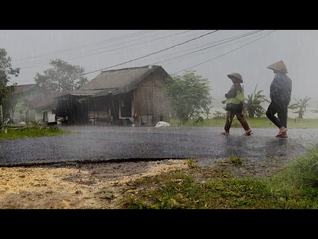 [4K] Beautiful Rain Scenery | A-Romantic Walk in the Rain | Heavy Rain In Rural Indonesia