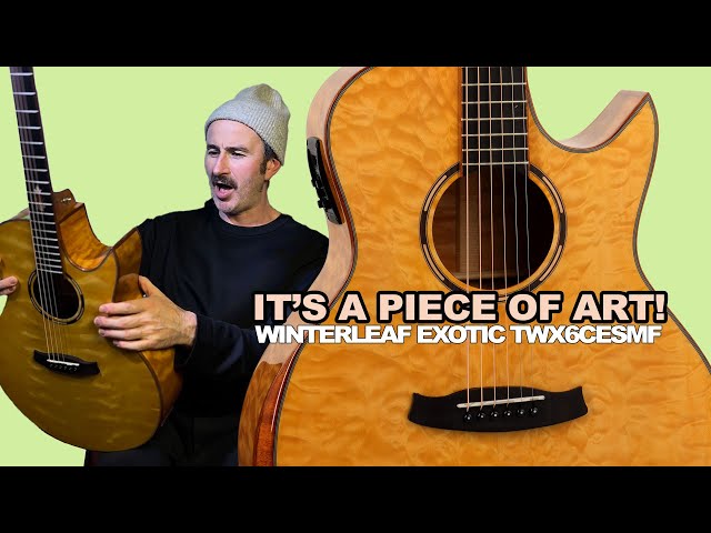 Overview: Tanglewood Winterleaf Exotic TWX6CESMF w/Damien Nolan