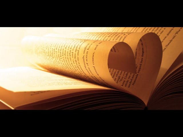One Million View Special: My Favorite Books !