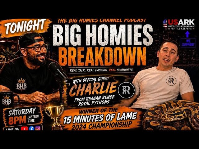Charlie from Reagan Renee Royal Pythons | The Big Homies Breakdown 📱