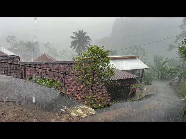 Heavy rain in rural Indonesia||sound of rain that soothes the soul||sleep in 5 minutes