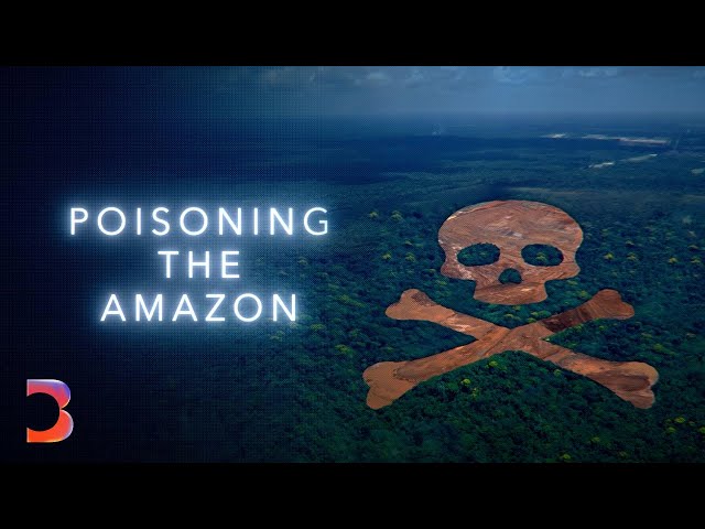 The Human Cost of Going Green | Bloomberg Investigates