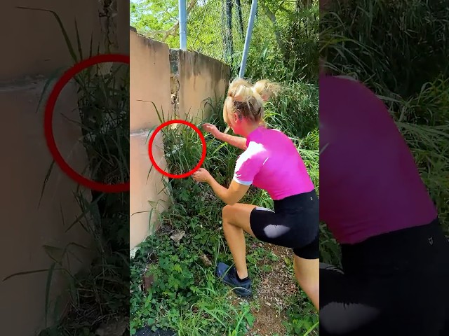 I Found an Abandoned Kitten in a Graveyard!