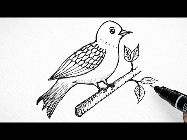How to Draw a Bird Easy Techniq | Step by Step Drawing Tutorial  | Easy Bird Drawing for Beginners