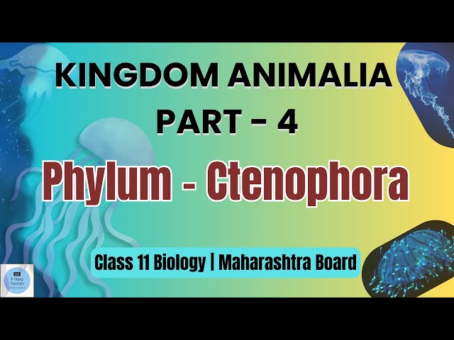 Phylum Ctenophora | Kingdom Animalia  | Class 11 Biology Maharashtra Board | E-Study Tutorials