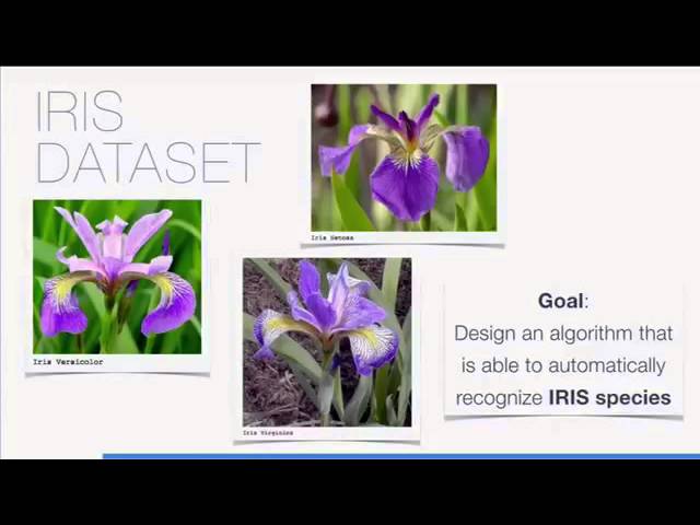 Valerio Maggio - Scikit-learn to "learn them all"