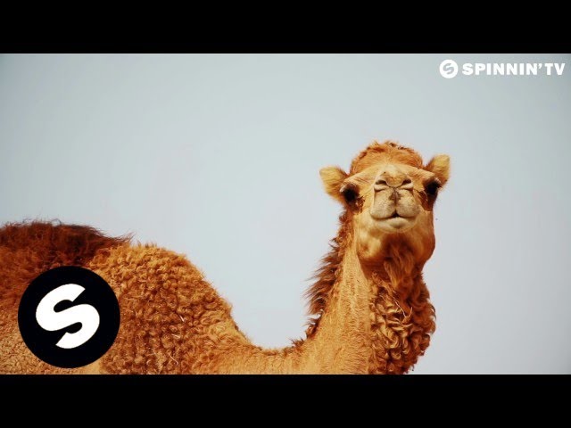 KSHMR & MARNIK - Mandala ft. Mitika (Official Sunburn 2016 Anthem) [Official Music Video]