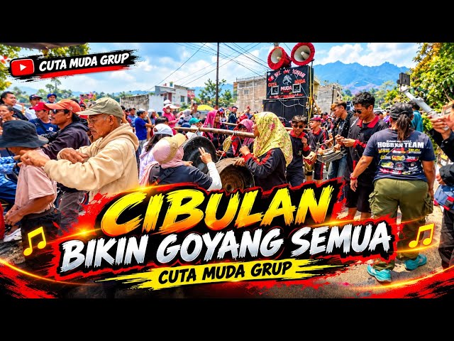 Cibulan Bergoyang || cuta muda 