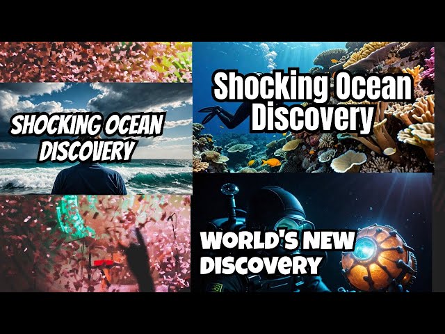 What They Just Discovered In The Pacific Ocean Shocked The World ‼️