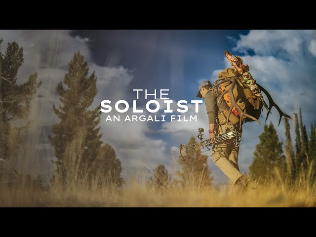 Chasing Bulls In Late September | AN ARGALI ARCHERY ELK FILM