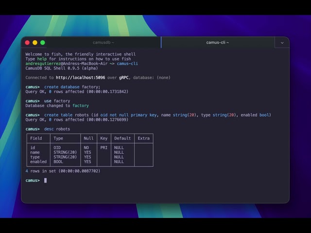 Introduction CamusDB