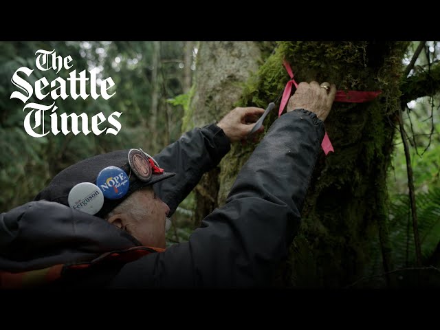 Meet the older activists hoping to save Washington's legacy forests