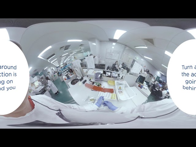 Want to see where your blood goes?