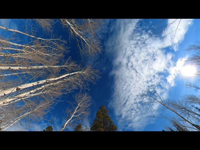 360 Virtual Reality Meadow Skipping For Those From The Future.
