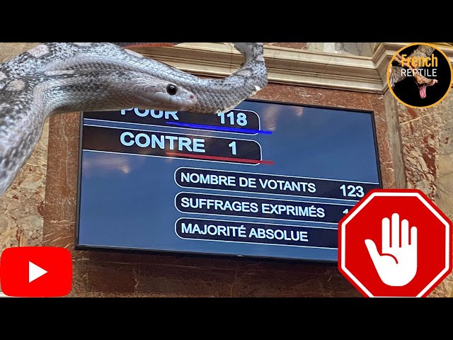 Nouvelle loi qui veut détruire notre passions/liste positive je donne mon avis