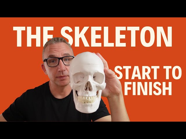Skeletal System | Bones, Articulation, Growth & Development (FULL LECTURE)