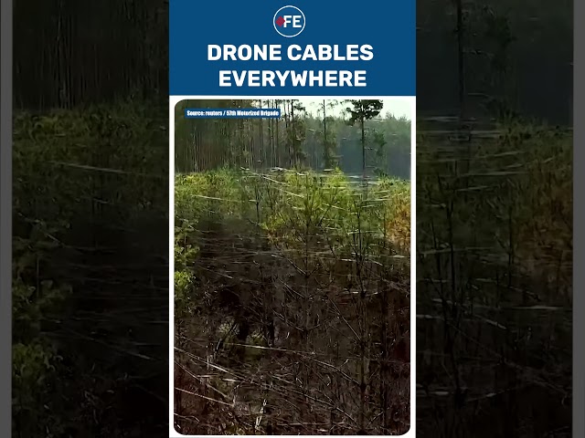 Ukraine Reveals Forests Covered In Fibre-Optic Cables Left By Russian FPV Drones | #shorts
