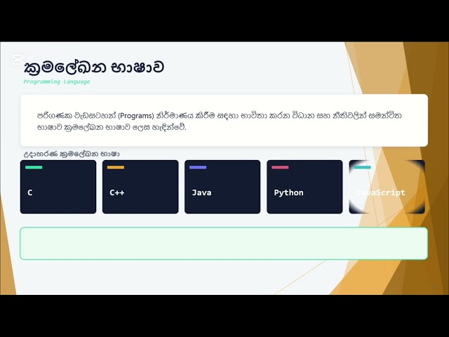 Computer Language vs Programming Language vs Markup Language (HTML) | Sinhala | Tech with Tijay